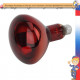 Лампа ИКЗК 220-250 Е27 (15)для животных
