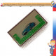 Дисплей starline A94 A92